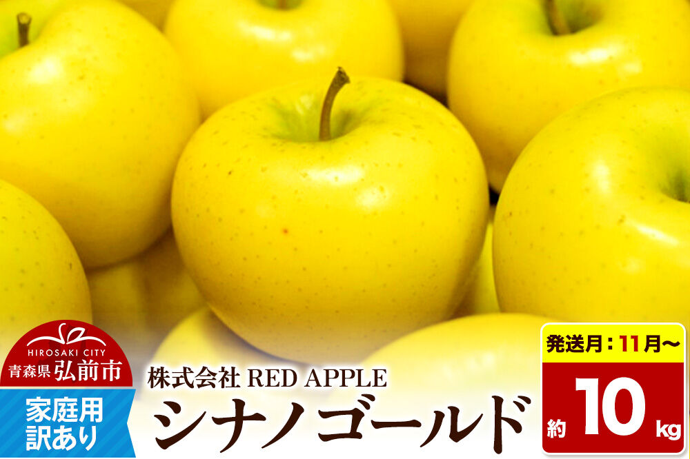 【26年11月〜発送】りんご【訳あり】家庭用 シナノゴールド 約10kg 先行受付 [アップル おいしい シナノ シナノゴールド りんご 黄色 果実 果物 美味 林檎]