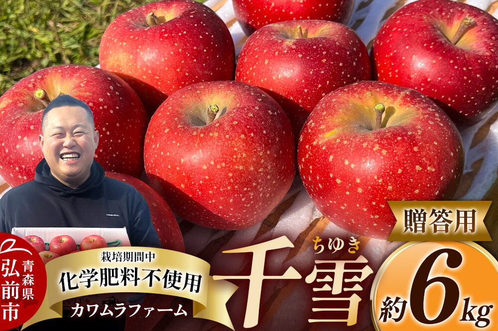 【寄附金額見直しました】【26年10月下旬〜発送】りんご 千雪 約6kg カワムラファーム【贈答用】青森 果物 フルーツ 林檎 リンゴ くだもの [先行受付 アップル おいしい ちゆき お歳暮 お中元 ギフト プレゼント 果実 果物 赤色 贈り物 美味 林檎 弘前市]