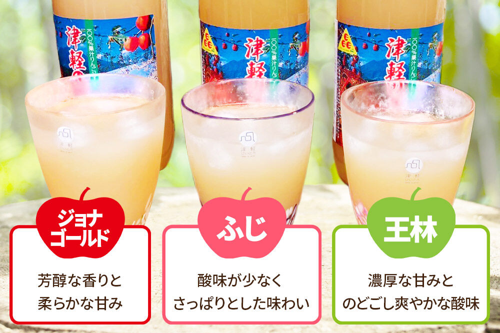 《定期便3ヶ月》3種のりんごジュース 1L×6本 計6L 無添加 ストレート果汁100％！ 青森県特別栽培農産物認証農園 [アップル おいしい ジュース ストレート フルーツジュース りんご 飲料 果実 果汁 果汁100％ 果物 置き場に困らない 定期発送 定期便 買い忘れ防止 美味 便利 林檎]