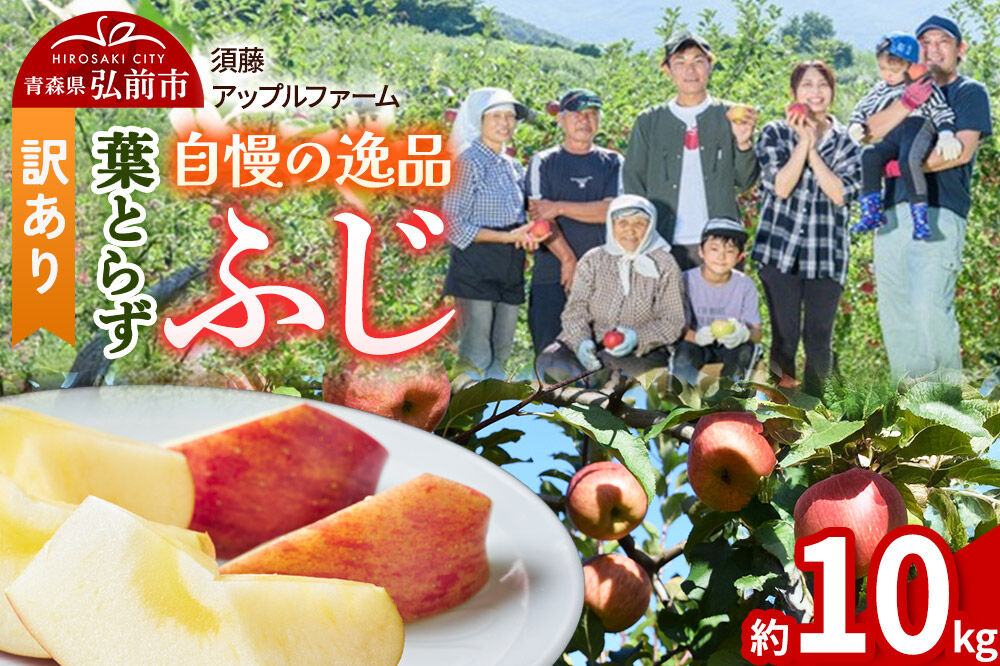 【26年11月下旬〜発送】りんご 葉とらず ふじ【訳あり】約10kg 先行受付 家庭用 青森県 弘前市 果物 フルーツ 林檎 リンゴ くだもの 不揃い 規格外 [先行予約 産地直送 アップル おいしい 果実 美味 甘い 赤色]