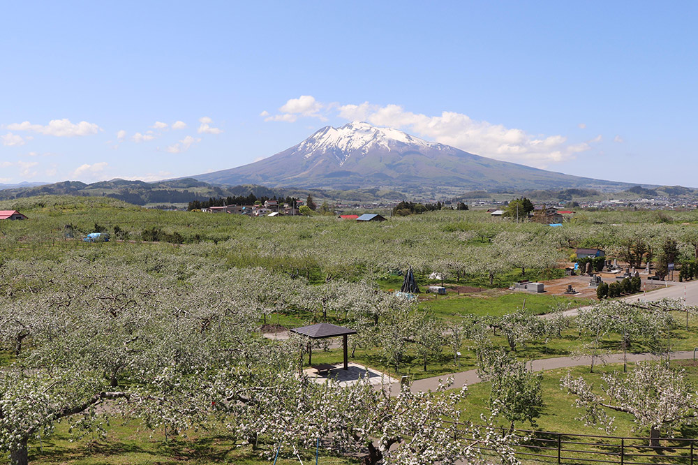 【タクシーでらくらく移動】着地型弘前ねぷたまつり見学ツアー 3名様ご招待
