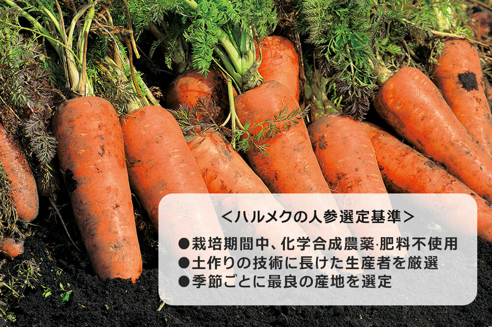 《定期便9ヶ月》ハルメク 人参ジュース【ビン】1030g×6本 [野菜ジュース にんじんジュース 人参ジュース りんご果汁 栄養機能食品 ビタミンA 健康 砂糖不使用 甘味料不使用 保存料不使用 青森県 弘前市]