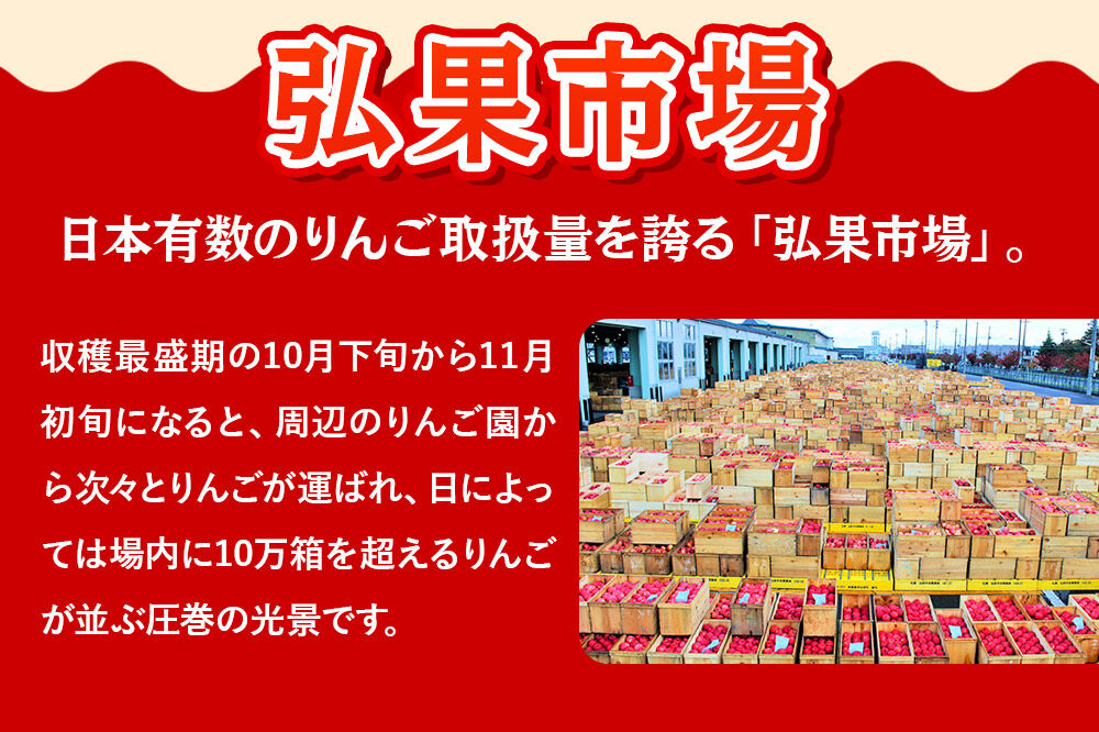 【27年2月発送】りんご サンふじ・王林 詰め合わせ【訳あり】約3kg 糖度13度以上 家庭用 青森県 弘前市 [サンふじ 王林 りんご 訳あり 家庭用 アップル おいしい 黄色 果実 果物 詰め合わせ 詰合 赤色 美味 林檎]