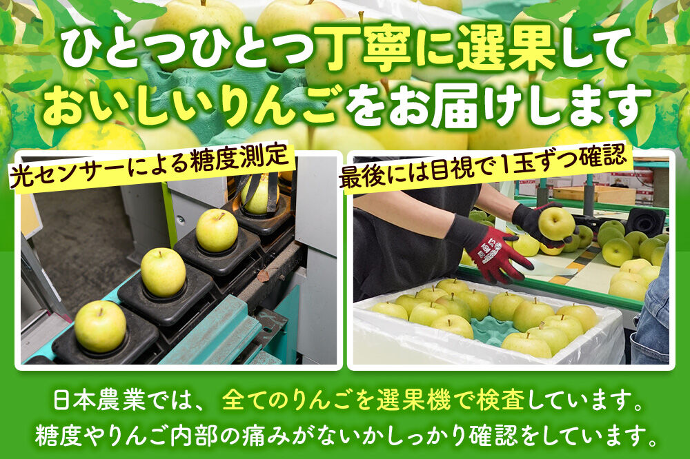 【27年1月発送】りんご ぐんま名月【おもてなし用】約10kg 平均糖度13度以上 青森県 弘前市 果物 フルーツ 林檎 リンゴ くだもの 先行受付 [先行受付 産地直送 アップル 青森県 弘前市]