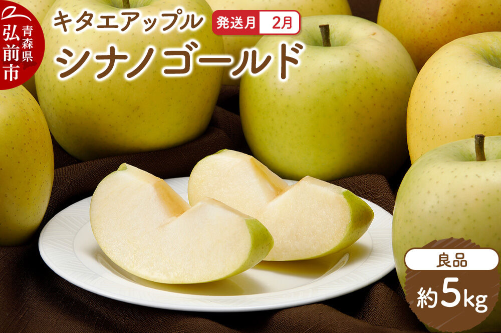 【27年2月発送】りんご シナノゴールド【良品】約5kg キタエアップル 先行受付 青森県 弘前市 果物 フルーツ 林檎 リンゴ くだもの ギフト 贈り物 青森県 弘前市 [先行予約 産地直送 アップル おいしい 果実 美味 甘い 黄色]