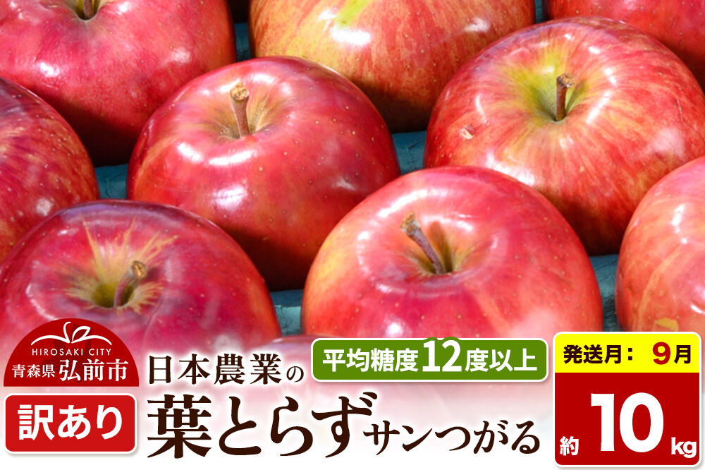 【26年9月クール便発送】りんご 葉とらずサンつがる【訳あり】約10kg 平均糖度12度以上 青森県産 果物 フルーツ 林檎 リンゴ くだもの 不揃い 規格外 [家庭用 産地直送 アップル 青森県 弘前市]