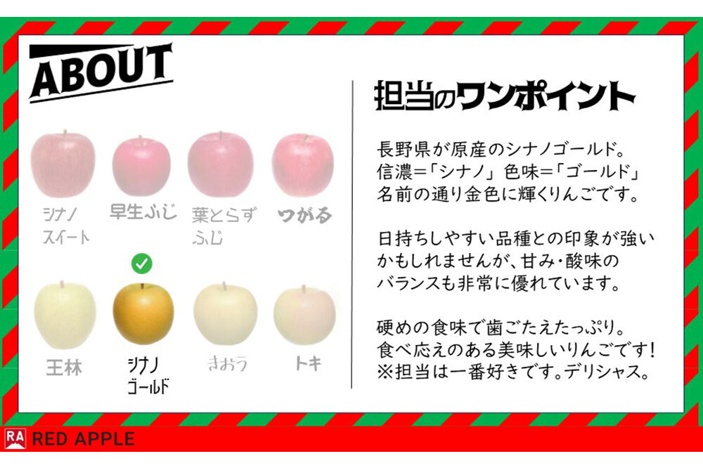 【27年3月発送】りんご シナノゴールド【訳あり】家庭用 約2.5kg 先行受付 [先行予約 黄色 林檎 アップル 果実 果物 美味 おいしい 青森県 弘前市 REDAPPLE]
