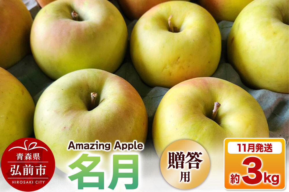 [寄附金額見直しました][26年11月下旬発送]りんご 名月[贈答用]約3kg [りんご 名月 3kg アップル おいしい お歳暮 お中元 ギフト プレゼント 果実 果物 贈り物 贈答用 美味 林檎 青森県 弘前市]