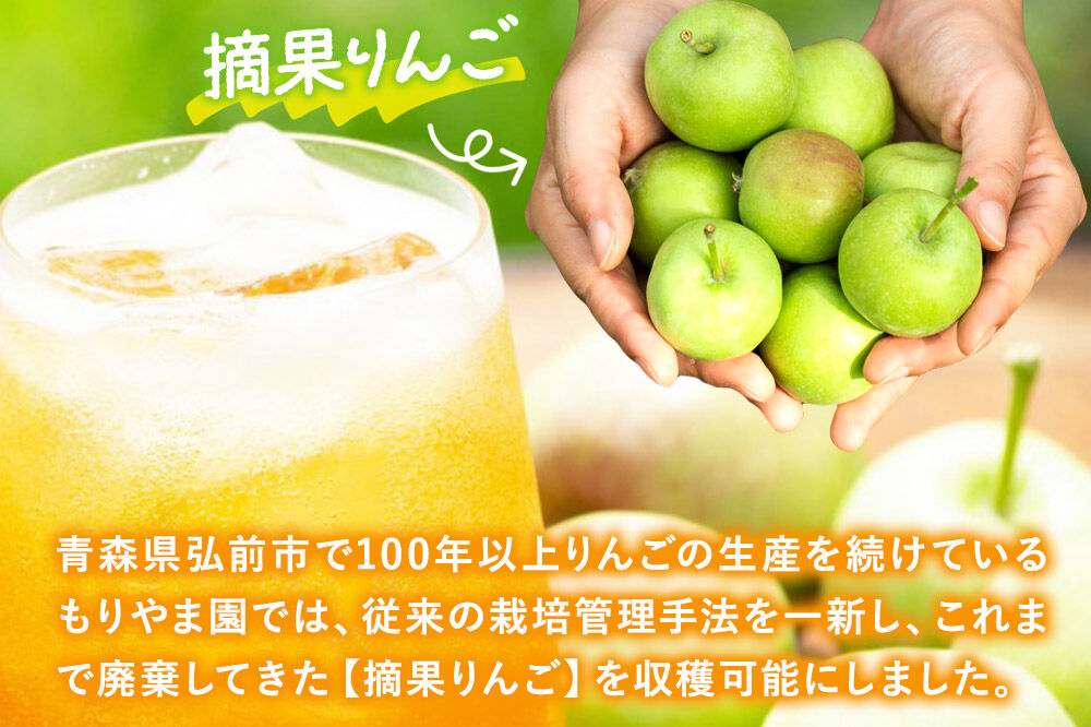 摘果りんごのアップサイクルドリンク テキカカアップルソーダ 330ml×24本 もりやま園 青森 弘前 林檎 リンゴ [もりやま園 アップルソーダ りんごソーダ 炭酸 摘果りんご ジュース 青森県産 おいしい りんご 果物 美味 林檎]