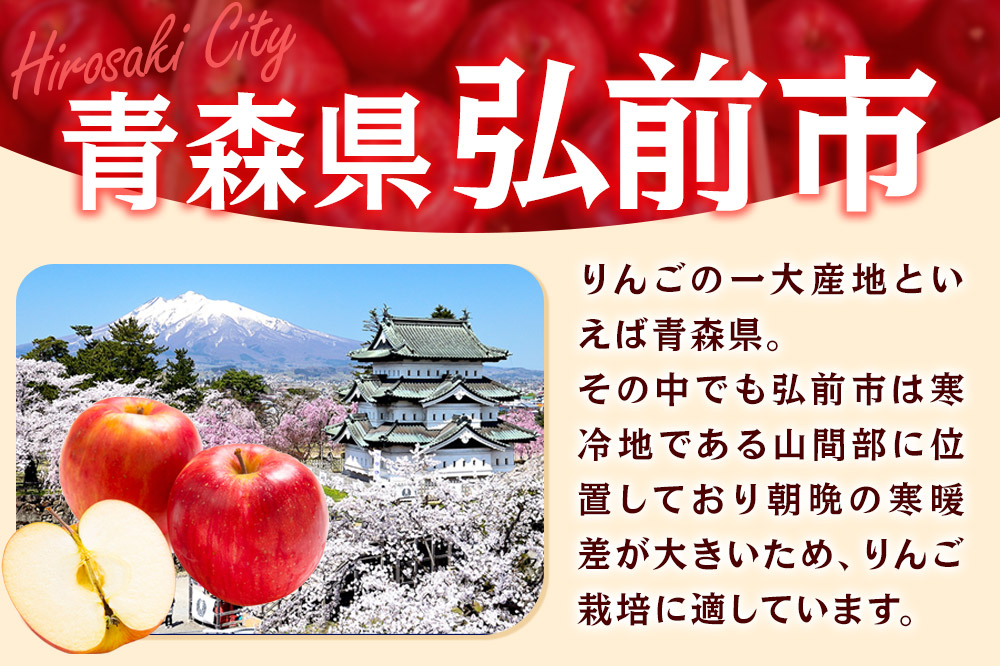 【寄附金額見直しました】【26年3月発送】りんご 贈答用 サンふじ・王林 詰め合わせ 約10kg 林檎 リンゴ 果物 くだもの フルーツ 青森