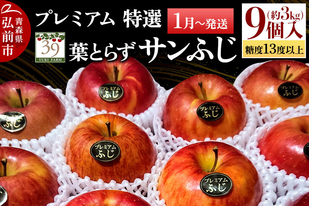 【27年1月〜発送】りんご 葉とらず サンふじ【特選】約3kg（9個）糖度13度以上 プレミアム【数量限定】先行受付 青森県 弘前市 果物 フルーツ 林檎 リンゴ くだもの ギフト 贈り物 [先行予約 産地直送 アップル おいしい 果実 美味 甘い 赤色]