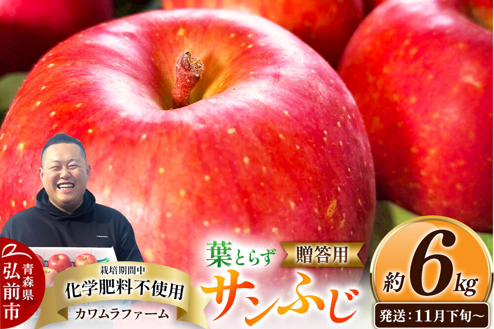 [26年11月下旬〜発送]りんご 葉とらず サンふじ[贈答用]約6kg[先行受付]カワムラファーム 青森県 弘前市 果物 フルーツ 林檎 リンゴ くだもの ギフト 贈り物 [先行予約 産地直送 アップル おいしい 果実 美味 甘い 赤色]