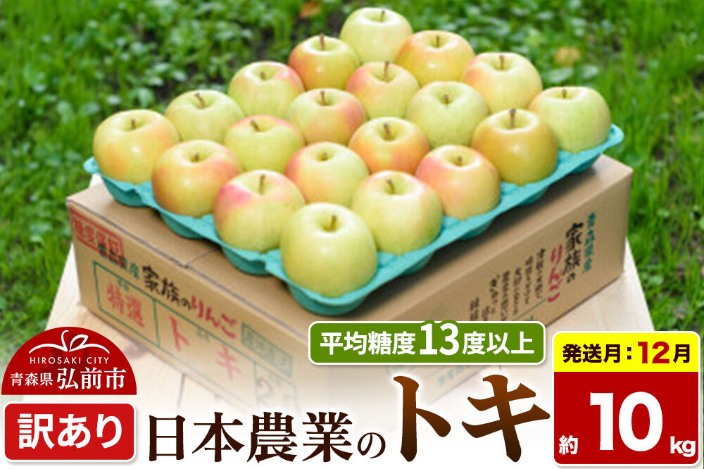 【26年12月発送】りんご トキ【訳あり】約10kg 平均糖度13度以上 青森県 弘前市 果物 フルーツ 林檎 リンゴ くだもの 不揃い 規格外 [先行受付 家庭用 産地直送 アップル 青森県 弘前市]