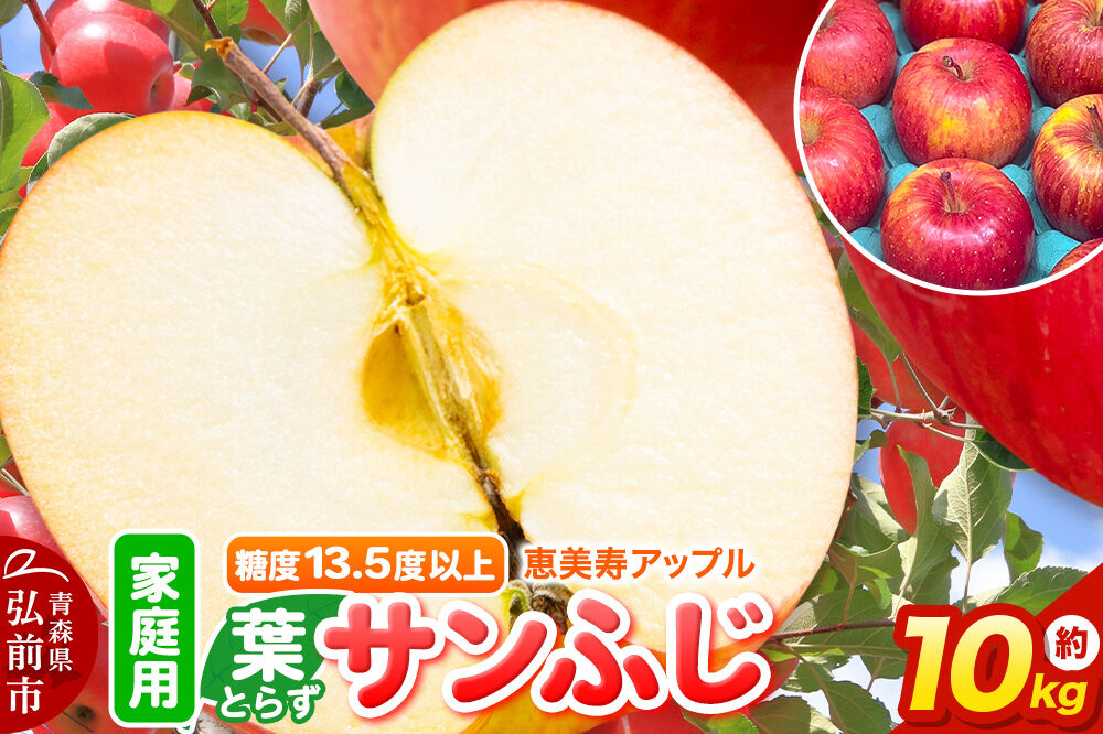 【26年12月発送】りんご 葉とらず サンふじ【家庭用】約10kg 糖度13.5度以上 先行受付 青森県 弘前市 果物 フルーツ 林檎 リンゴ くだもの 不揃い 規格外 [先行予約 産地直送 アップル おいしい 果実 美味 甘い 赤色]