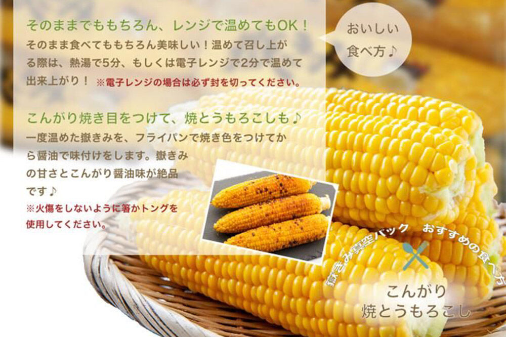 【寄附金額見直しました】とうもろこし 嶽きみ真空パック 10本セット（L〜2Lサイズ）