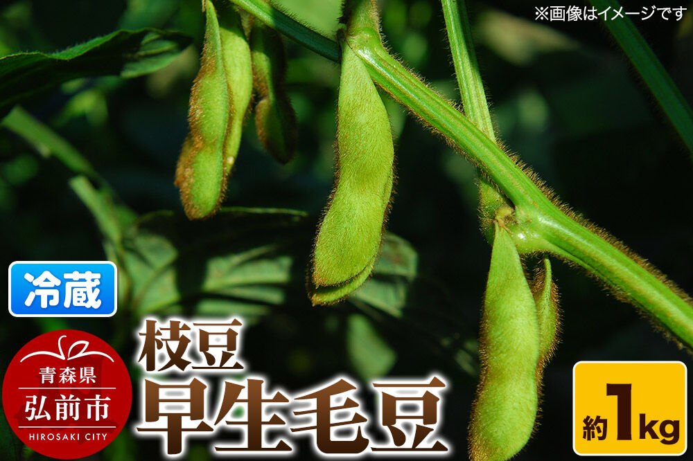 【26年8月下旬〜クール便発送】枝豆 早生毛豆 約1kg まもる農園 青森県 弘前市 [国産 早生 毛豆 おつまみ 野菜 クール便]