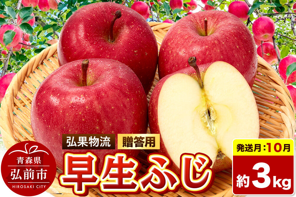 【26年10月発送】りんご 早生ふじ【贈答用】約3kg 青森県 弘前市 [早生ふじ りんご 贈り物 贈答用 お歳暮 お中元 ギフト 3キロ アップル おいしい 果実 果物 詰め合わせ セット 赤色 美味]
