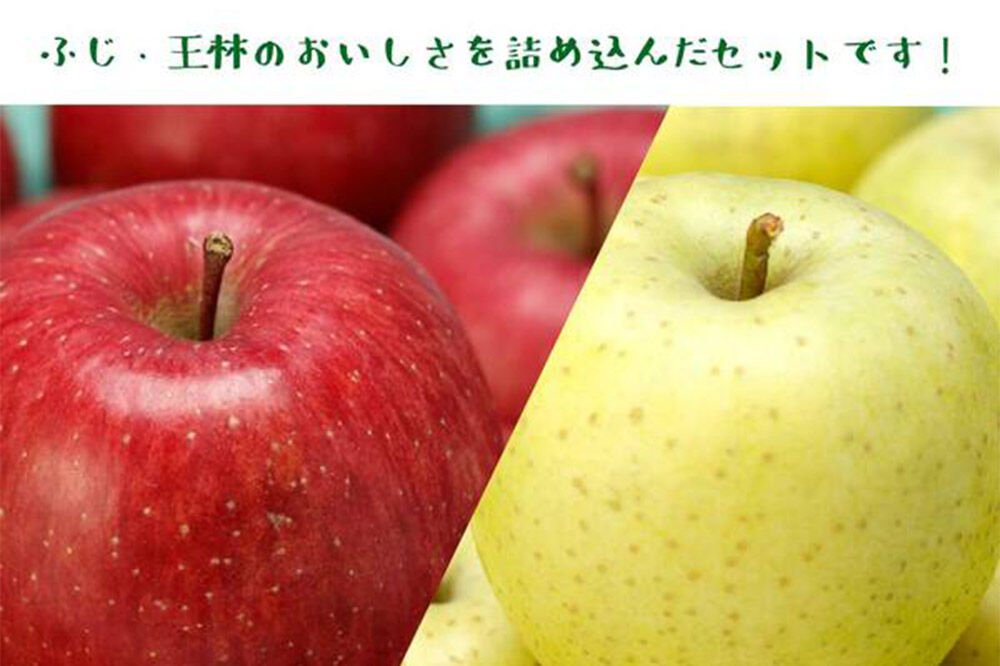 【26年11月〜発送】りんご（サンふじ ・ 王林 各3玉）と無添加りんごジュース（1L×2本）詰め合わせ JA相馬村 [アップル おいしい ジュース ふじ りんご 飲料 王林 黄色 果実 果物 詰め合わせ 詰合 赤色 美味 林檎]