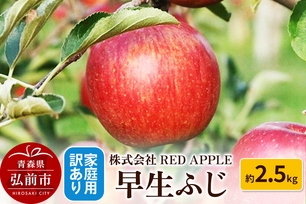 【26年10月発送】りんご【訳あり】家庭用 早生ふじ 約2.5kg 先行受付 [アップル おいしい ふじ りんご 果実 果物 赤色 早生 美味 林檎]