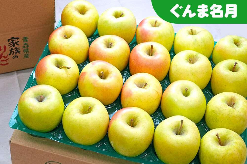 【27年1月発送】りんご ぐんま名月×シナノスイート【訳あり】約5kg 平均糖度13度以上 青森県 弘前市 果物 フルーツ 林檎 リンゴ くだもの 不揃い 規格外 [先行予約 家庭用 産地直送 アップル 青森県 弘前市]