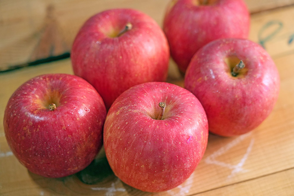 【26年5月発送】りんご 平均糖度13度以上！ 有袋ふじ 約5kg 訳あり CA貯蔵 クール便 青森 果物 フルーツ 林檎 リンゴ くだもの 不揃い 規格外