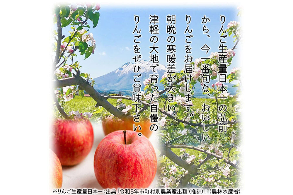 【26年10月下旬〜発送】りんご シナノゴールド【家庭用】約5kg 青森県 弘前市 [先行予約 アップル おいしい ふじ りんご 果実 果物 黄色 津軽 糖度 美味 林檎]