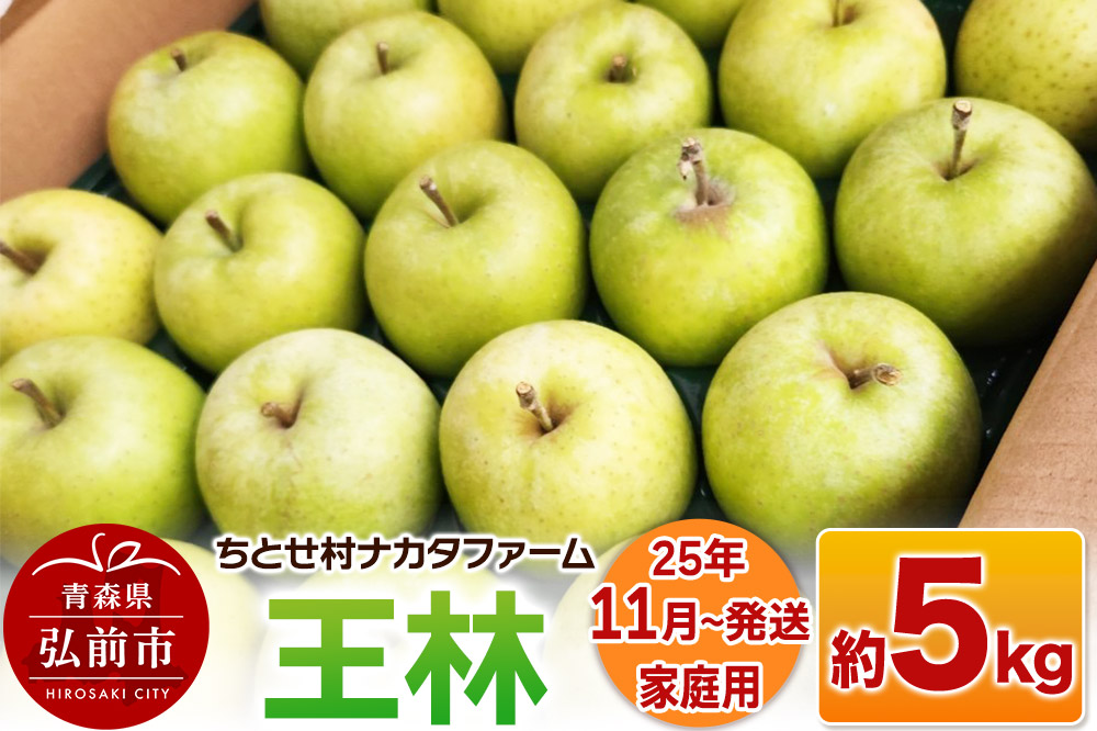 【25年11月〜発送】りんご【家庭用】王林 約5kg