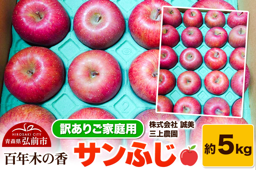 【25年12月〜発送】りんご 【訳あり】家庭用 百年木の香 三上農園 サンふじ 約5kg【先行受付】 青森 果物 フルーツ 林檎 リンゴ くだもの 不揃い 規格外 予約