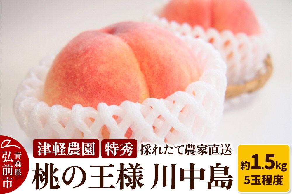 【26年8月発送】桃 約1.5kg(5玉程度) 青森【2026年産 桃の王様 川中島】もも 特秀 果物 フルーツ くだもの 津軽農園 採れたて 農家直送 [おいしい ピーチ フルーツ もも 果実 果物 青森 津軽 桃 美味]
