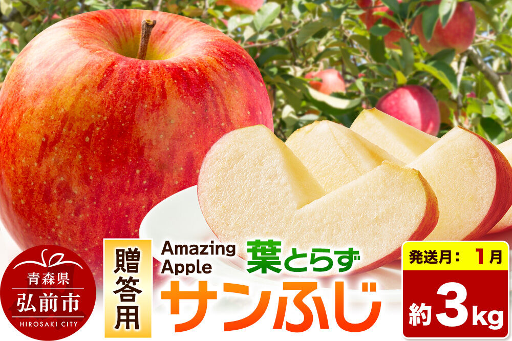 【27年1月発送】りんご 葉とらずサンふじ【贈答用】約3kg 先行受付 [先行予約 りんご サンふじ 葉とらず ふじ 3kg お歳暮 お中元 ギフト 贈り物 贈答用 アップル おいしい 果実 果物 赤色 美味 葉っぱ 林檎 青森県 弘前市]