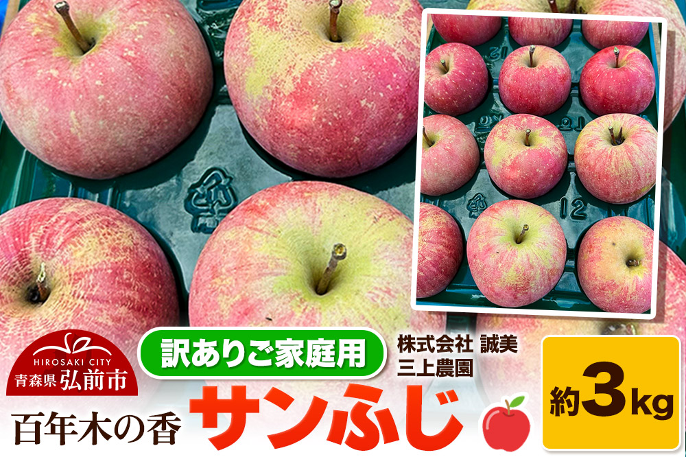 【25年12月〜発送】りんご 【訳あり】家庭用 百年木の香 三上農園 サンふじ 約3kg【先行受付】 青森 果物 フルーツ 林檎 リンゴ くだもの 不揃い 規格外 予約