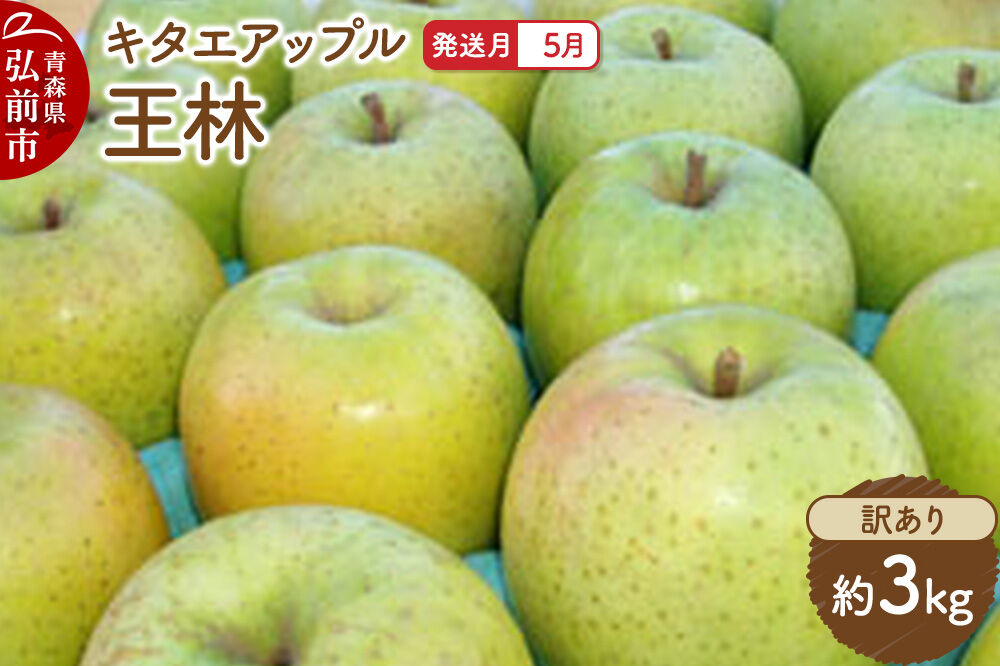【26年5月クール便発送】りんご 王林【訳あり】約3kg【CA貯蔵】キタエアップル [不揃い 規格外 アップル 産地直送 青森県 弘前市 詰め合わせ セット 果物 フルーツ 林檎 リンゴ くだもの]