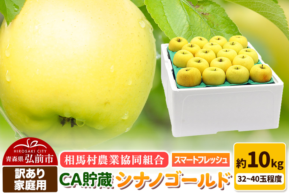 【26年3月発送】りんご【訳あり】家庭用 シナノゴールド約10kg（32〜40玉程度）CA スマートフレッシュ
