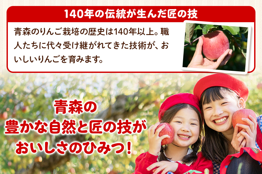 【寄附金額見直しました】りんご 【糖度13度以上】サンふじ 約3kg 【秀品】 青森県 フルーツ 果物