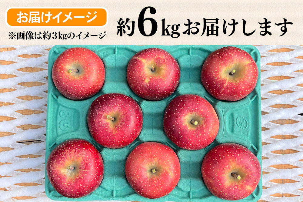 【26年10月下旬〜発送】りんご 千雪 約6kg カワムラファーム【贈答用】青森 果物 フルーツ 林檎 リンゴ くだもの [先行受付 アップル おいしい ちゆき お歳暮 お中元 ギフト プレゼント 果実 果物 赤色 贈り物 美味 林檎 弘前市]