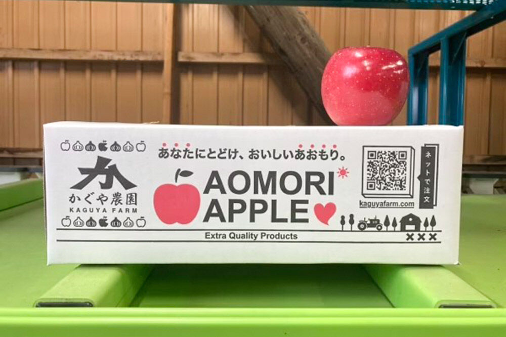 りんご ふじ 約3kg（7玉〜14玉程度）樹上完熟葉とらず【家庭用】厳選品 青森県産 りんご