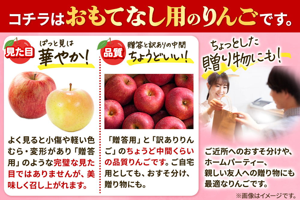 【26年2月発送】りんご 平均糖度13度以上！ サンふじ 約3kg おもてなし用 青森 果物 フルーツ 林檎 リンゴ くだもの