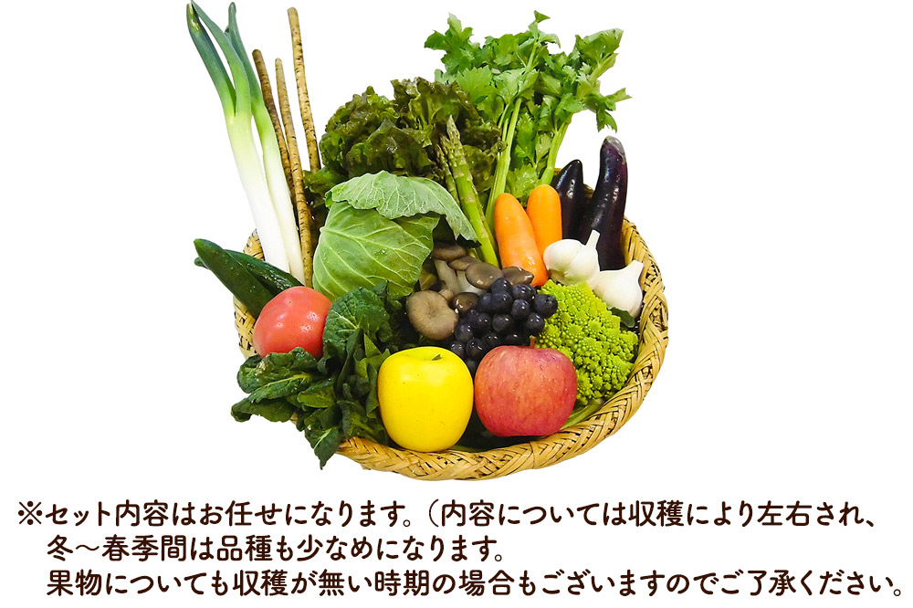 éåžéããã®èŽãç©ïŒæ¬ã®éèãå å·¥åçŽ10ã14çš®é¡çšåºŠïŒ