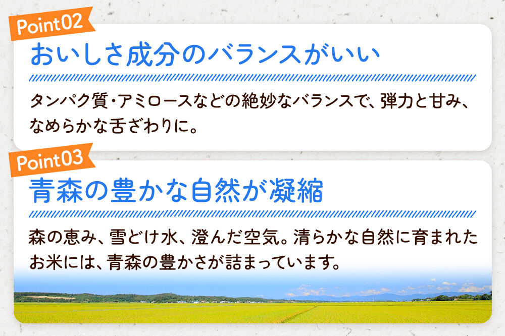 【寄附金額見直しました】《定期便2ヶ月》米 令和7年産 青森県弘前市産 はれわたり【精米】10kg（5kg×2袋）