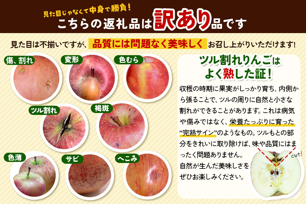 【26年3月クール便発送】りんご サンふじ 約5kg【訳あり】家庭用 百年木の香 三上農園