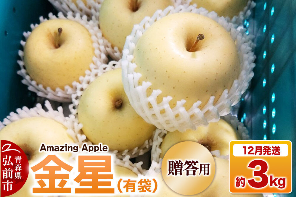 【26年12月発送】りんご 金星（有袋）【贈答用】約3kg [りんご 金星 有袋 3kg お歳暮 お中元 ギフト 贈り物 贈答用 アップル おいしい 果実 果物 黄色 美味 林檎 青森県 弘前市]