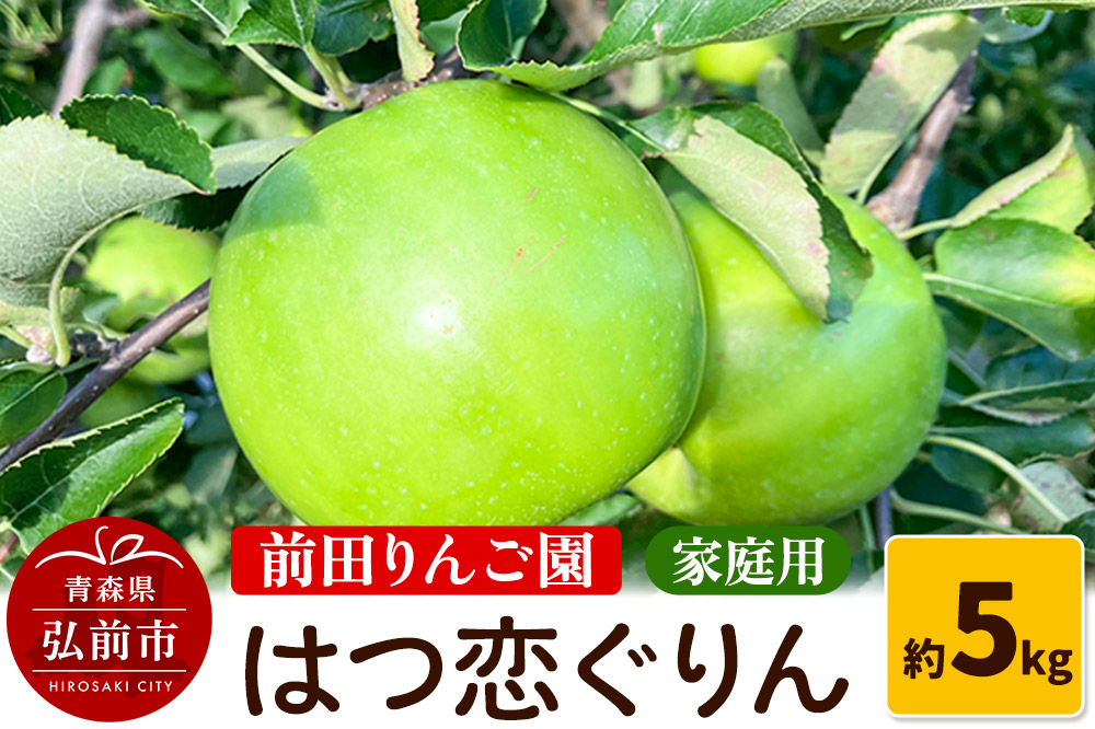【25年10月〜発送】りんご 【家庭用】 はつ恋ぐりん 約 5kg  前田りんご園