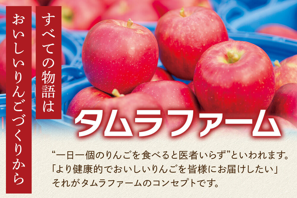 シードル タムラシードルセット TM-SD（SWEET・DRY 500ml×各1本 計2本） 青森県弘前市 タムラファーム りんごのお酒 [りんご 林檎 アップル 弘前 セット ギフト 果実酒 果汁 発泡 青森 飲み比べ ポム・ドール賞 JAPN CIDER CUP 金賞 受賞 泡立ち 甘口 辛口]