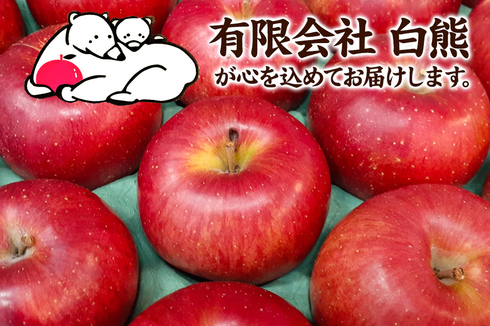 【26年5月発送・先行受付・クール便】りんご 訳あり家庭用 白熊 シナノスイート 約5kg（14〜20玉程度） スマートフレッシュ 糖度13度