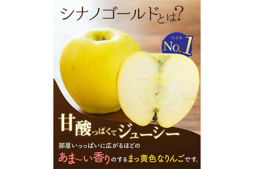 【26年10月下旬〜発送】りんご シナノゴールド【贈答用】約10kg 青森県 弘前市 [先行予約 アップル おいしい ふじ りんご 果実 果物 黄色 津軽 糖度 美味 林檎]