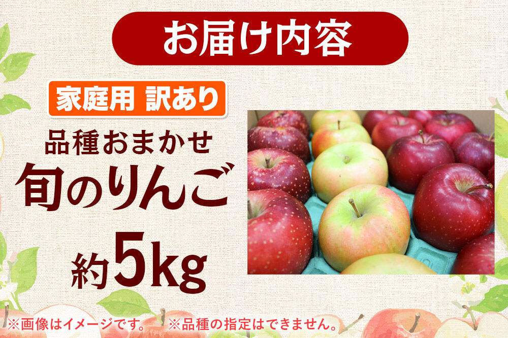 【27年3月クール便発送】りんご 家庭用 訳あり 旬のりんご 品種おまかせ 約5kg 2品種〜4品種 [アップル おいしい りんご 果実 果物 美味 林檎]
