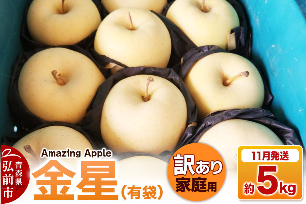 【26年11月下旬発送】りんご 金星（有袋）【訳あり】家庭用 約5kg [りんご 金星 有袋 訳あり 家庭用 5kg アップル おいしい 果実 果物 黄色 美味 林檎 青森県 弘前市]