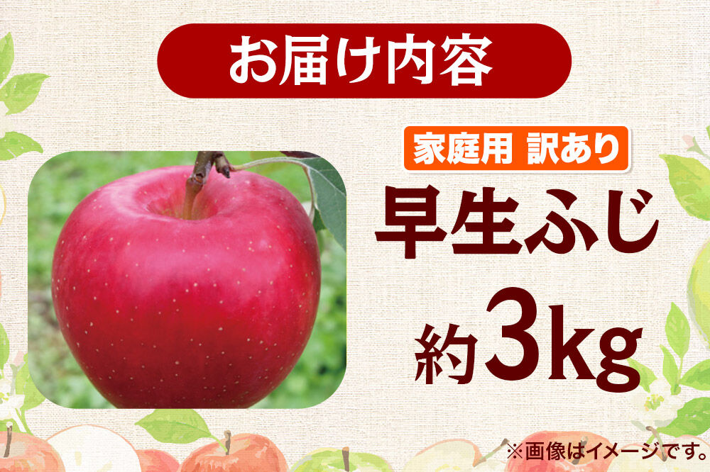 【26年9月発送】りんご 早生ふじ【訳あり】約3kg 家庭用 青森県 弘前市 [早生ふじ りんご 訳あり 家庭用 アップル おいしい 果実 果物 詰め合わせ 詰合 赤色 美味 林檎]