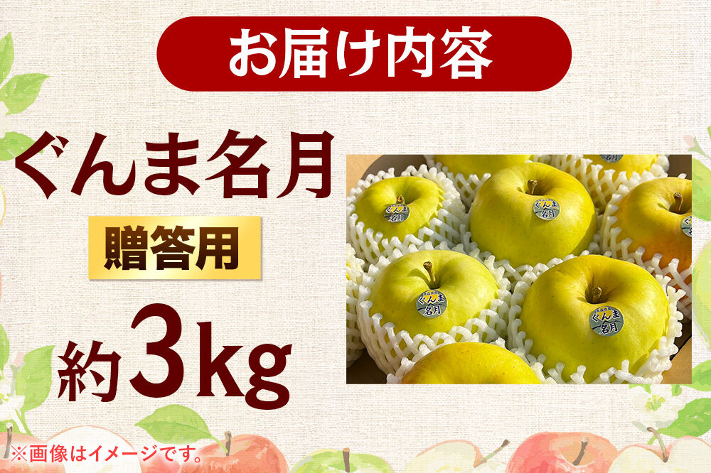 【26年11月発送】りんご ぐんま名月【贈答用】約3kg 先行受付 青森県 弘前市 果物 フルーツ 林檎 リンゴ くだもの ギフト 贈り物 [先行予約 産地直送 アップル おいしい 果実 美味 甘い 黄色]
