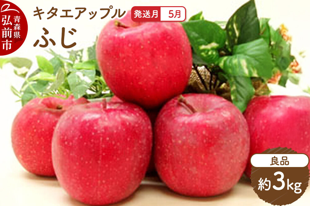 【26年5月クール便発送】りんご ふじ【良品】約3kg【CA貯蔵】キタエアップル [贈答 贈り物 アップル 産地直送 青森県 弘前市 詰め合わせ セット 果物 フルーツ 林檎 リンゴ くだもの]
